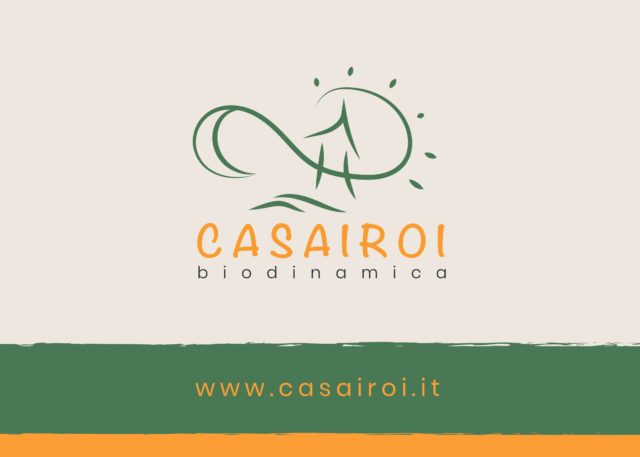 Patrizio Michelis_logo